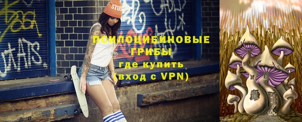 гашик Абинск