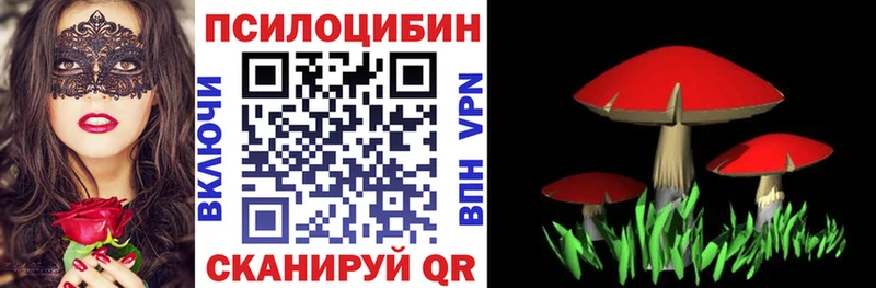 Галлюциногенные грибы GOLDEN TEACHER Ильский